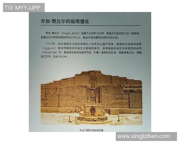 徐昕的艺术之路：从梦想起航到创作巅峰的心路历程与思考